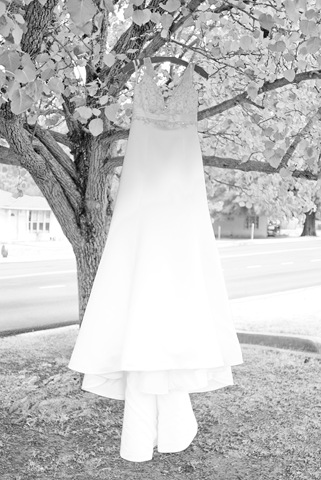 [_BOL6224-Edit[6].jpg]