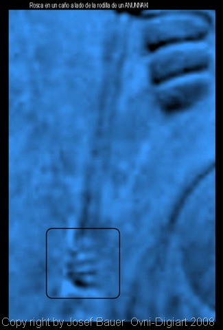 [schraube v1azul 1_resize[6].jpg]