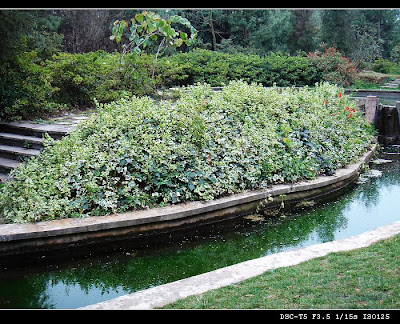 Image 27: http://farm1.static.flickr.com/156/369839211_12e6b6918a.jpg?v=0