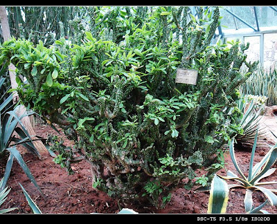 Image 30: http://farm1.static.flickr.com/129/369838861_710fe43dc1.jpg?v=0