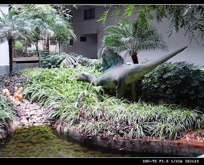 Image 7: http://farm1.static.flickr.com/182/377206035_987d41389b.jpg?v=0