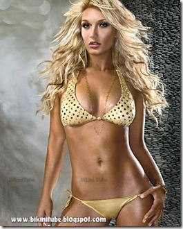 Brooke-Hogan-Lingerie