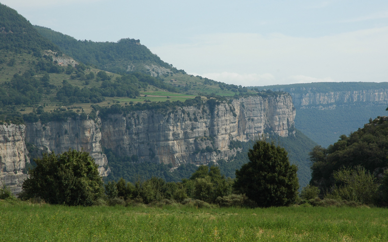 08-08-31%20%28Rupit%29%20035.jpg