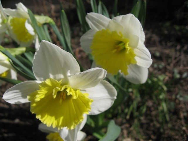 [IMG_14952.jpg]
