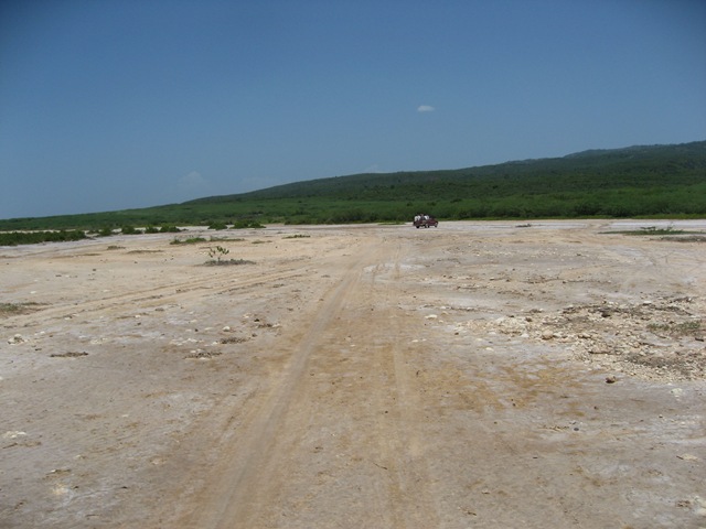 [IMG_37273.jpg]