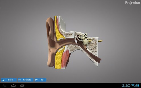 How to install Prowise Ear 3D 1.1 mod apk for laptop