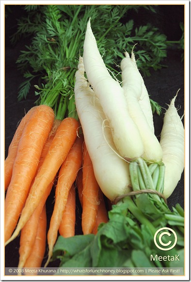Carrots Icicle Radish (01) by MeetaK
