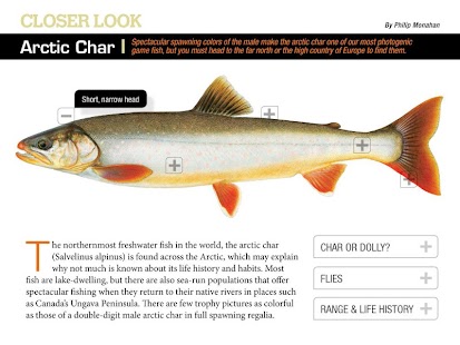 How to get American Angler 1.0.2 apk for laptop