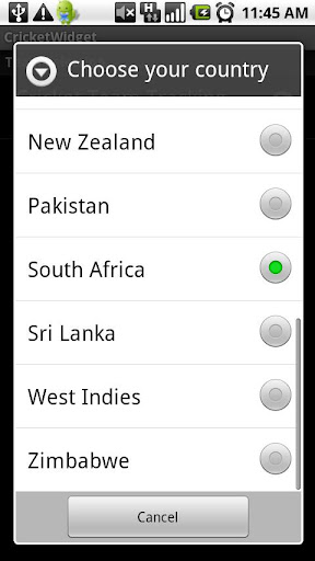 Cricket World Cup 2011 Widget