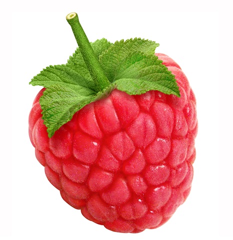 [Raspberry[3].jpg]