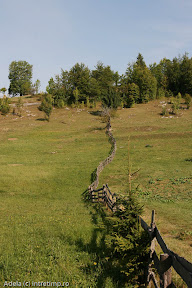 scarisoara-14.jpg