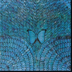 Santana-Borboletta-Frontal