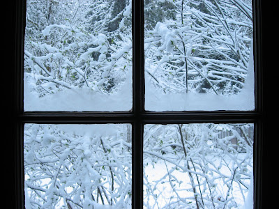 Frosty Windows