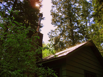 steaming roof