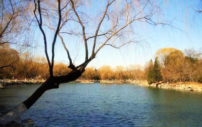 peking univeristy