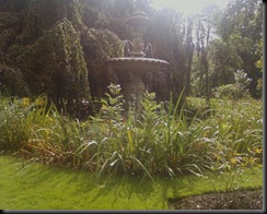 Photo0009