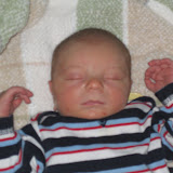 Two weeks old