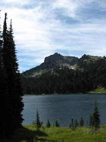 IMG_3394.jpg