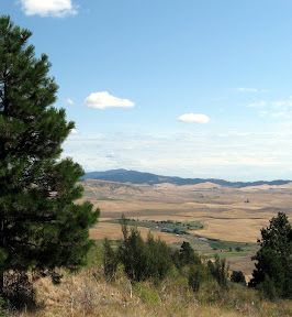 kamiak butte