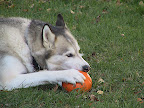 IMG_3981.JPG