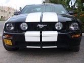 Ford Mustang GT... é lindo!