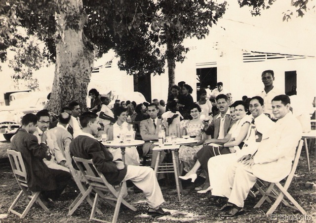 [GRUPOS VEGANOS (2)[1].jpg]