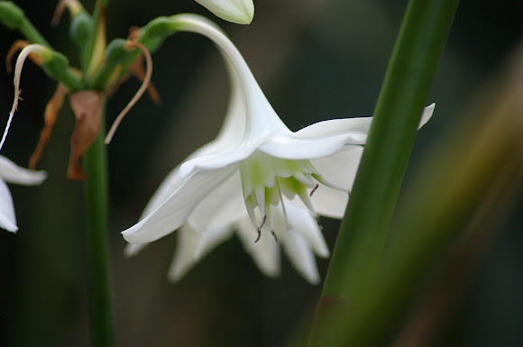 Spotting Image 1