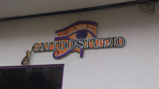 Gattoo Studio 