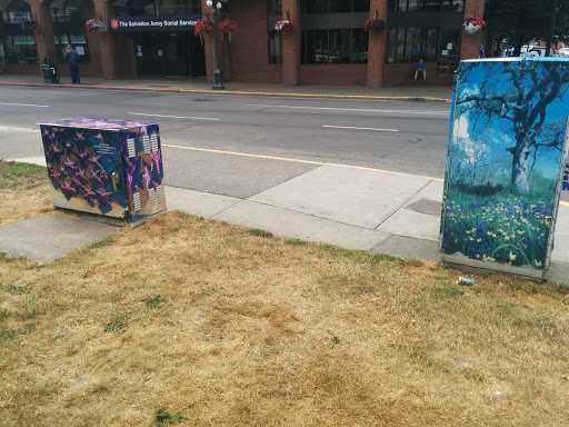 Mural Boxes