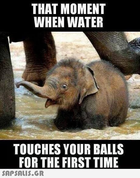 THAT MOMENT WHEN WATER TOUCHES YOUR BALLS FOR THE FIRST TIME SAPSAIs.gr