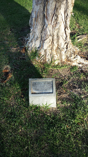Sandy Dixon Commemorative Tree