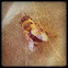 Drone Fly