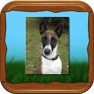 Foxterrier App.apk 1.01
