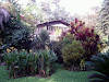 Vendo Hacienda De Palmito Y Cardamomo 272 Ha