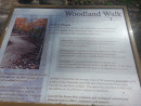 Woodland Walk Garden