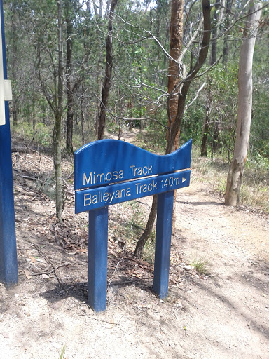 Mimosa Track Junction