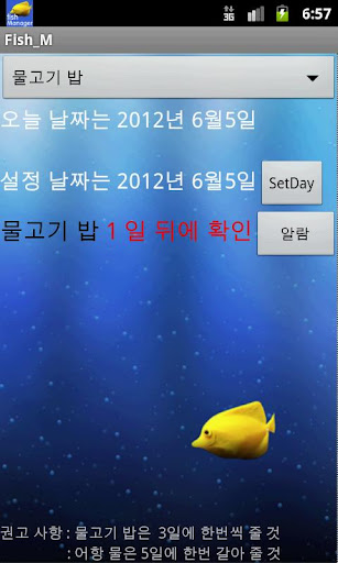 어항관리 D_Day