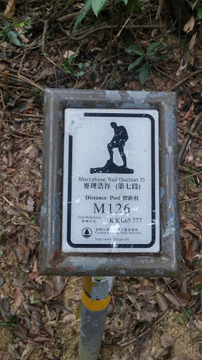 MacLehose Trail 7 (M126)