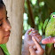 Red-Lored Parrot, Juv.