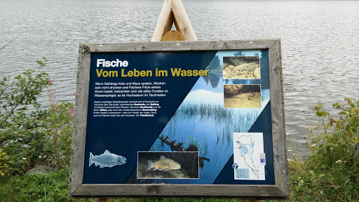 Schild Turracher See - Fische 