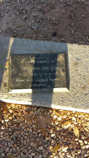 Hermine Mardi Memorial 