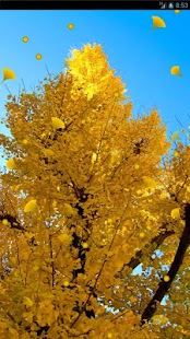 How to install engawa -Autumn LiveWallpaper- 5.0 apk for laptop