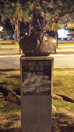 Delmirio Paulino Da Silva