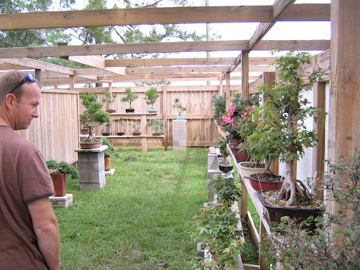 Martin checks out a maple bonsai