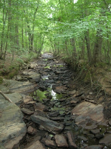 [Sweetwater creek aug 2008 005[2].jpg]