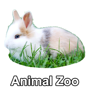 Animal Zoo- Real animal sounds.apk 3.0