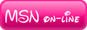 msn on line