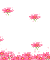[88[10].gif]