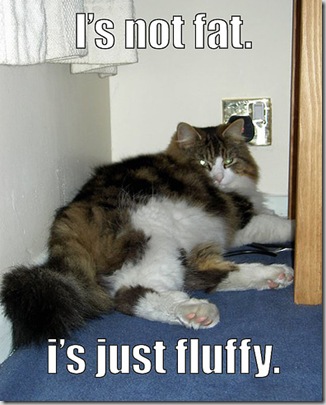 is-not-fat-is-just-fluffy