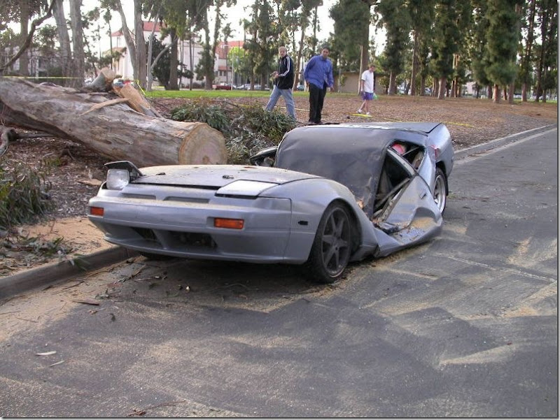 Carro con árbol